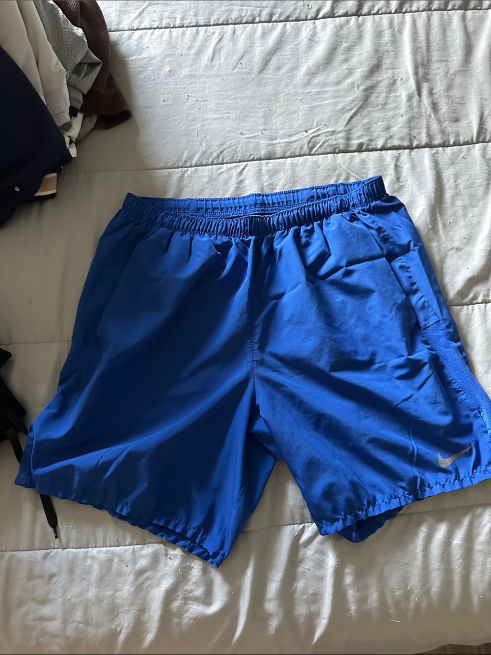 Nike Blue Men's Athletic Shorts
